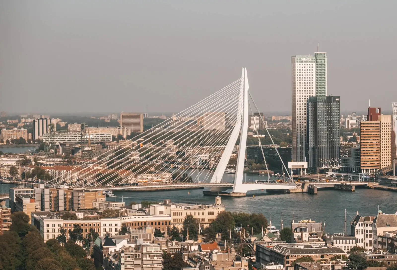 Bedrijfsuitje Rotterdam