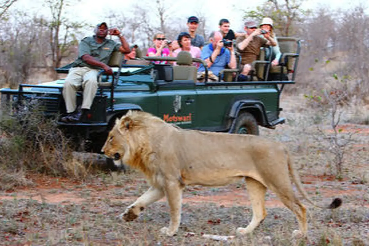 Big five leeuw