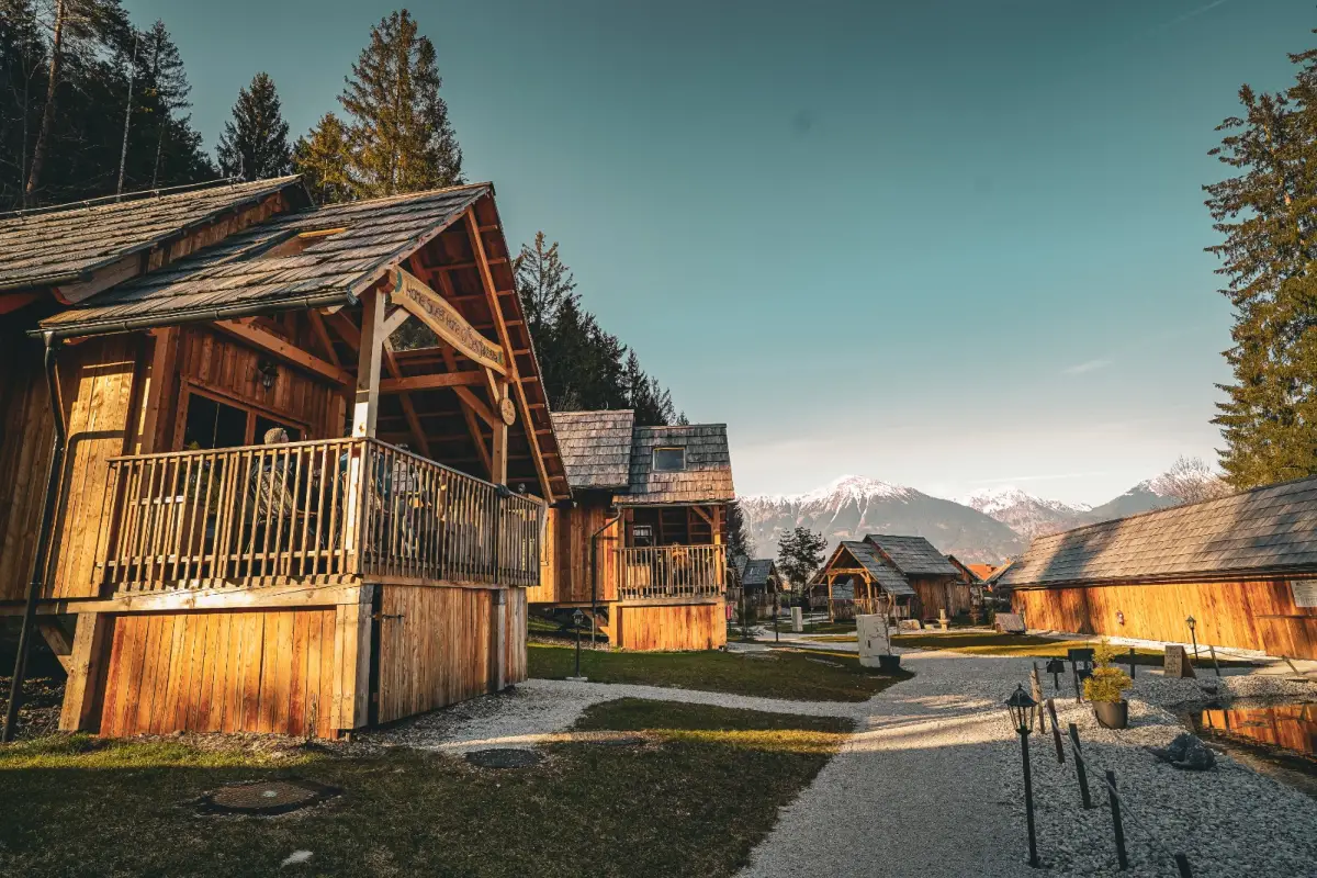 Forest lodges in de zomer
