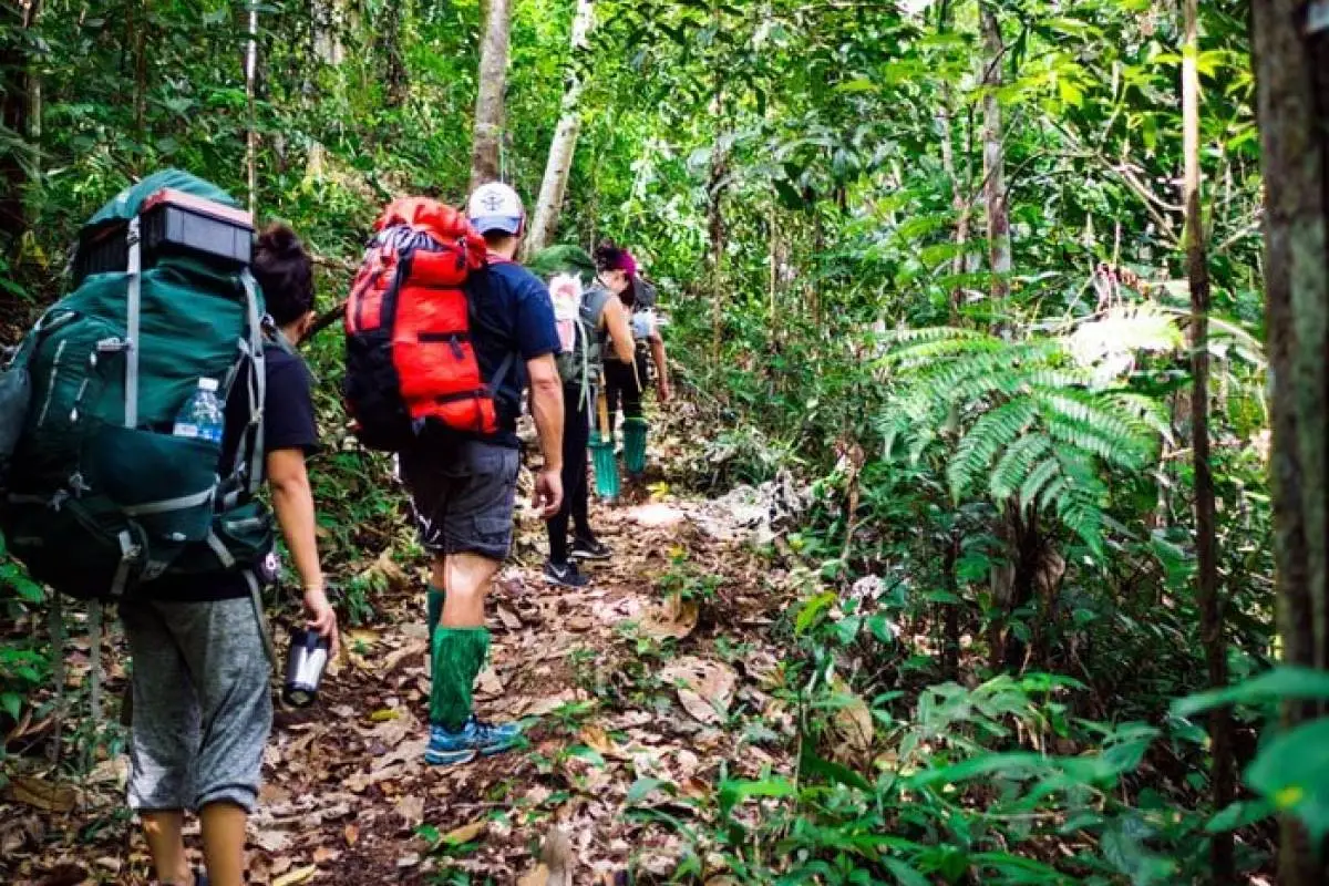 hike door jungle maleisie