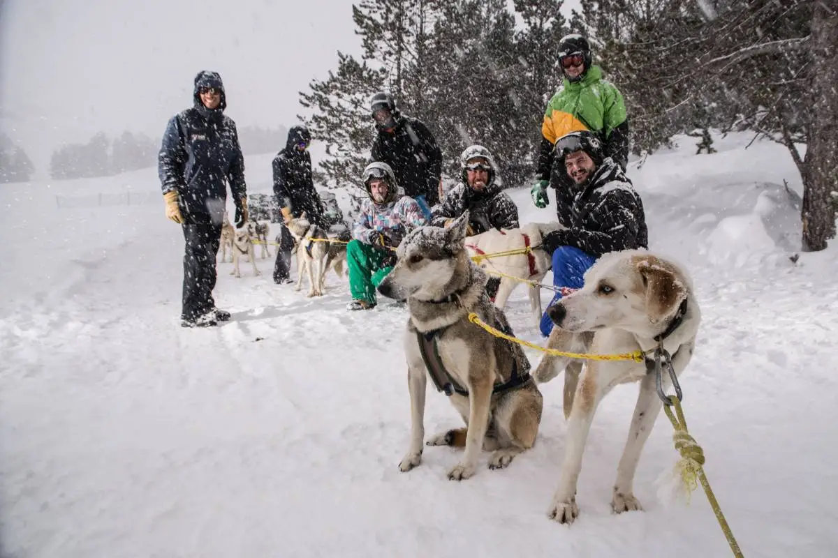 hondenslee in de sneeuw andorra