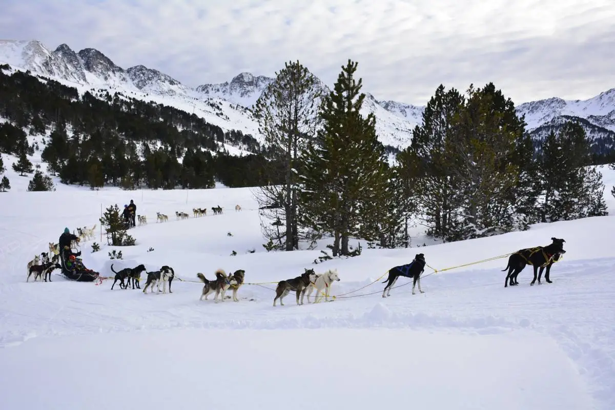 hondenslee tocht andorra