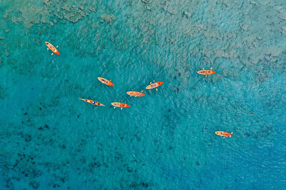 Kayak