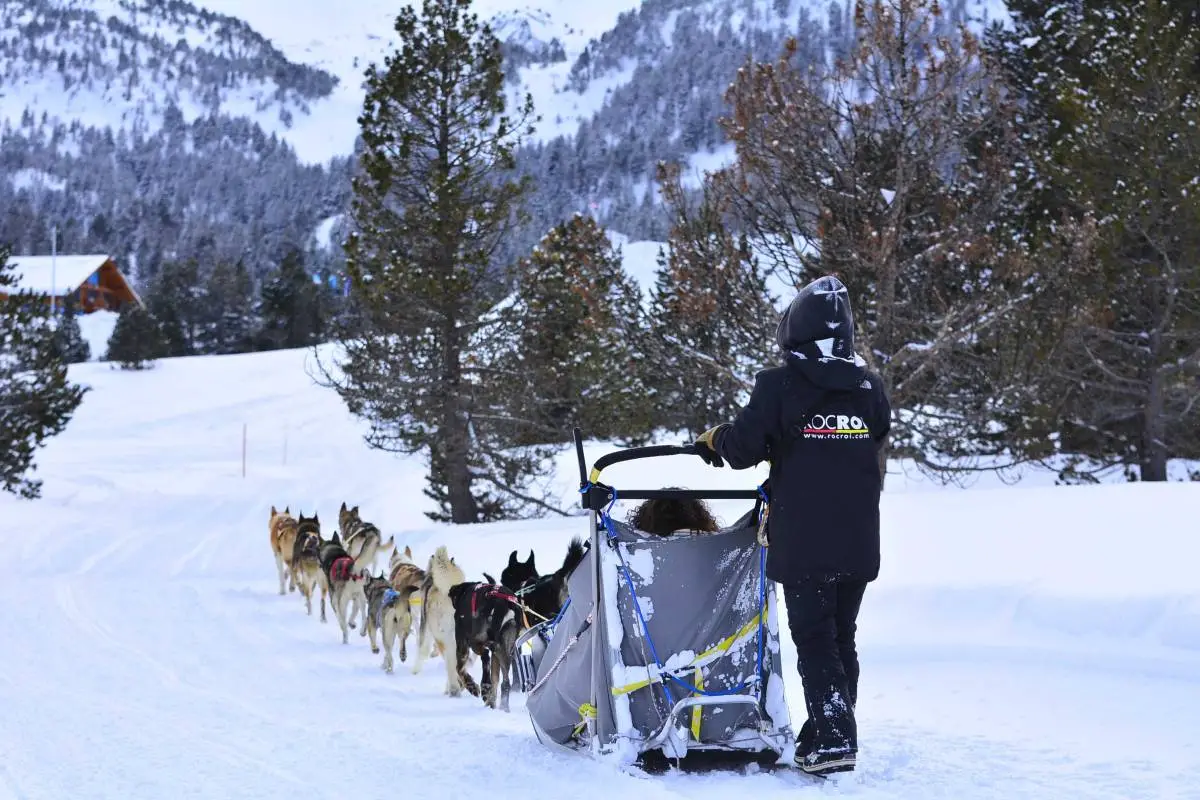 man op hondenslee andorra