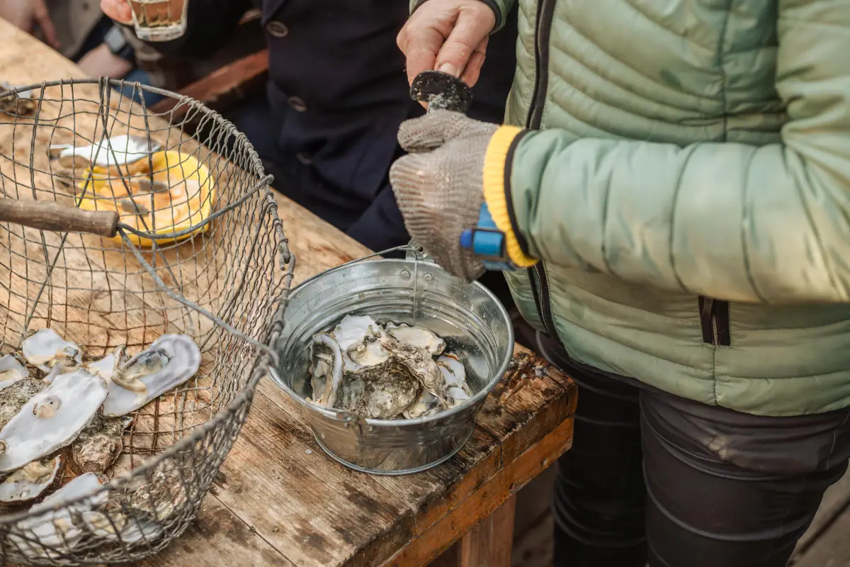 Oesterworkshop Vlieland