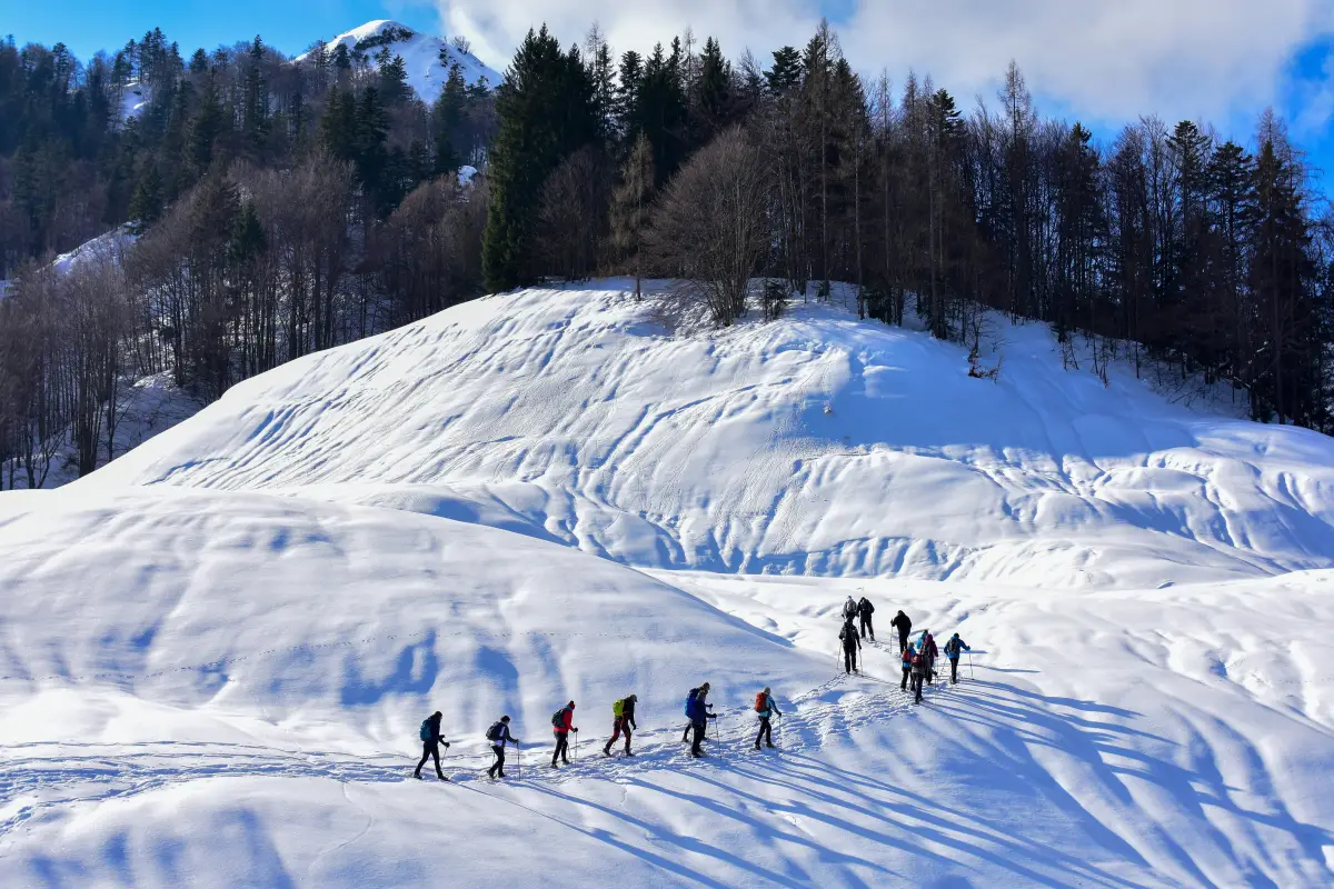 Snowshoe hike