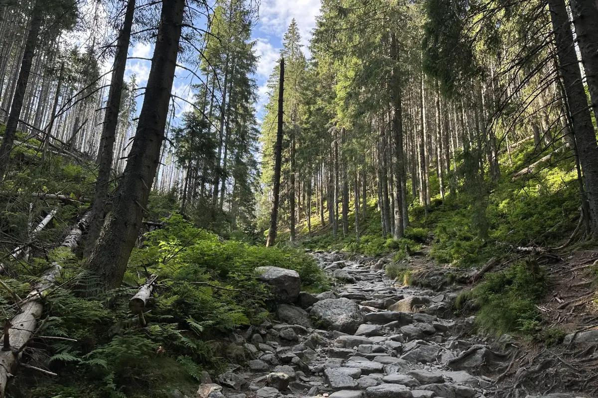 Tatra gebergte  met meer
