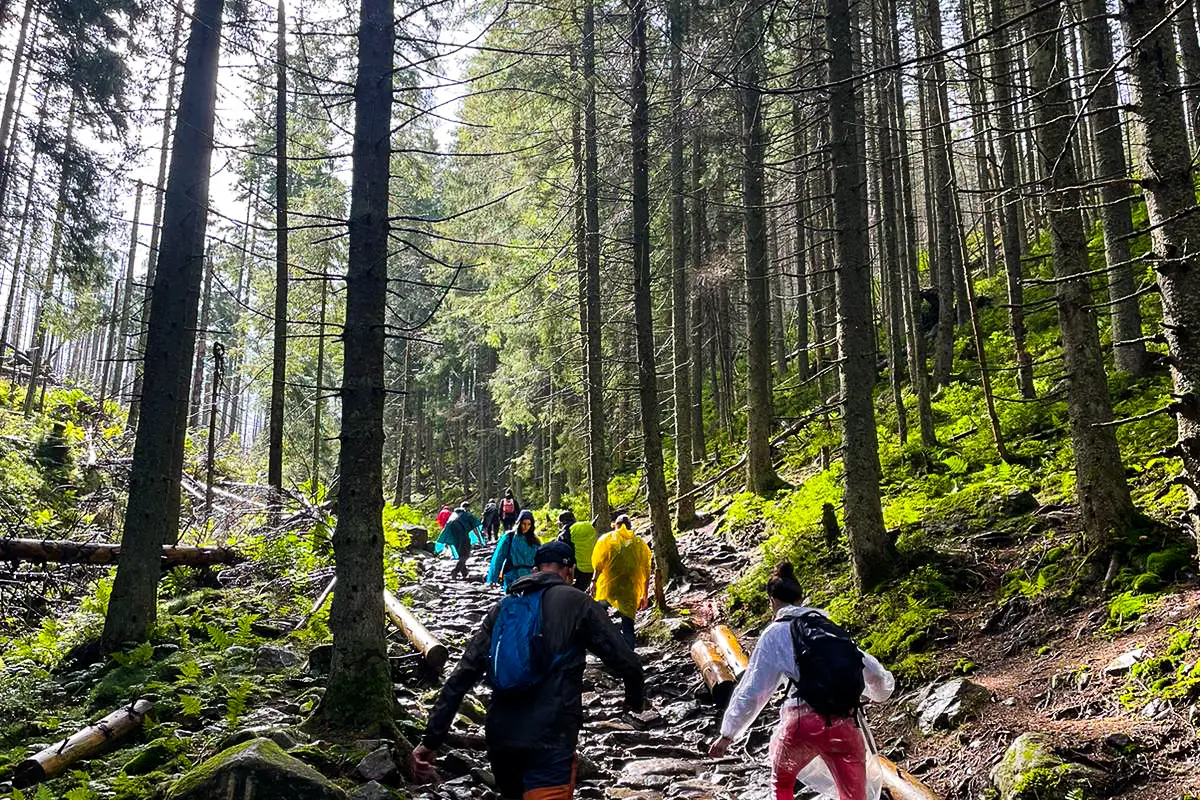 Tatra gebergte