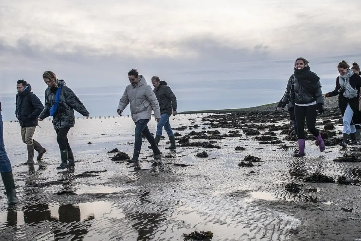 Wadlopen Vlieland