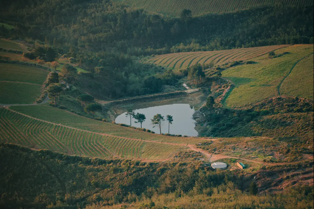 Zuid-Afrika winelands